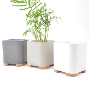 Könnte beinhalten: Drei quadratische Beton-Blumentöpfe mit Holzfüßen. Die Töpfe sind grau, beige und weiß. Eine grüne Pflanze steht im beigen Topf.
