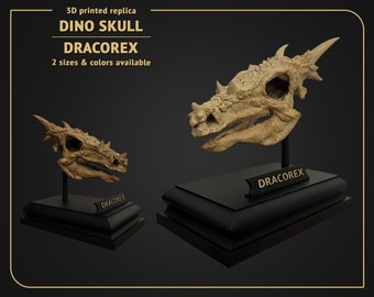 Dino Skull - Dracorex - 3D print replica Hand Painted -  18 cm or 11 cm height - White or Brown