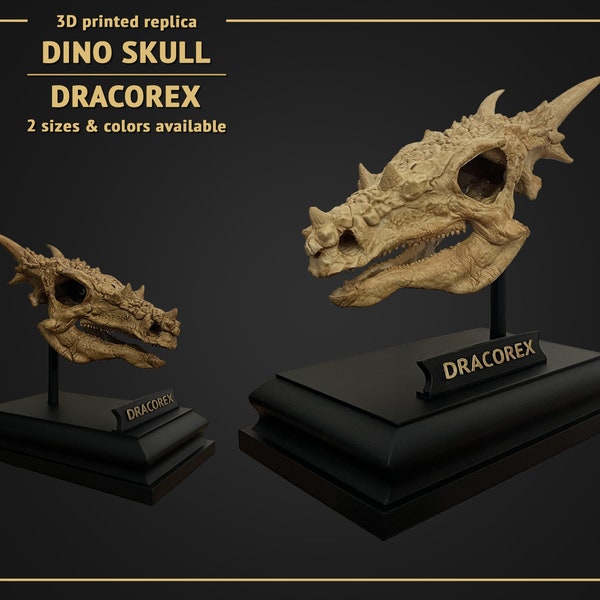 Dino Skull - Dracorex - 3D print replica Hand Painted -  18 cm or 11 cm height - White or Brown