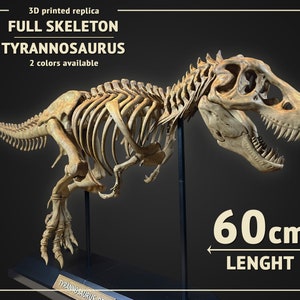 Tyrannosaurus Skeleton 60cm length - 3D print replica Hand Painted - 2 colors available