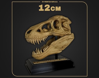 Tyrannosaurus Rex Skull | Dino Skull Replica | Scale 1:14 - 12cm | Hand Painted 3D Printed Fossil | Museum Collectible