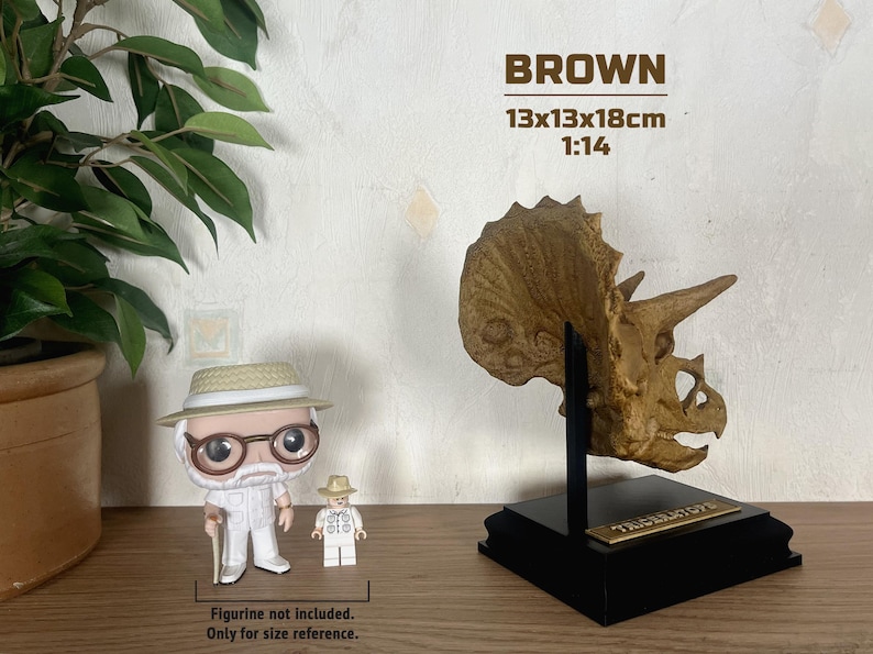 Puede incluir: R&eacute;plica de cr&aacute;neo de Triceratops marr&oacute;n sobre base negra, de aproximadamente 13 x 13 x 18 cm. La exhibici&oacute;n incluye el texto "TRICERATOPS". Se muestra una figura como referencia de tama&ntilde;o.