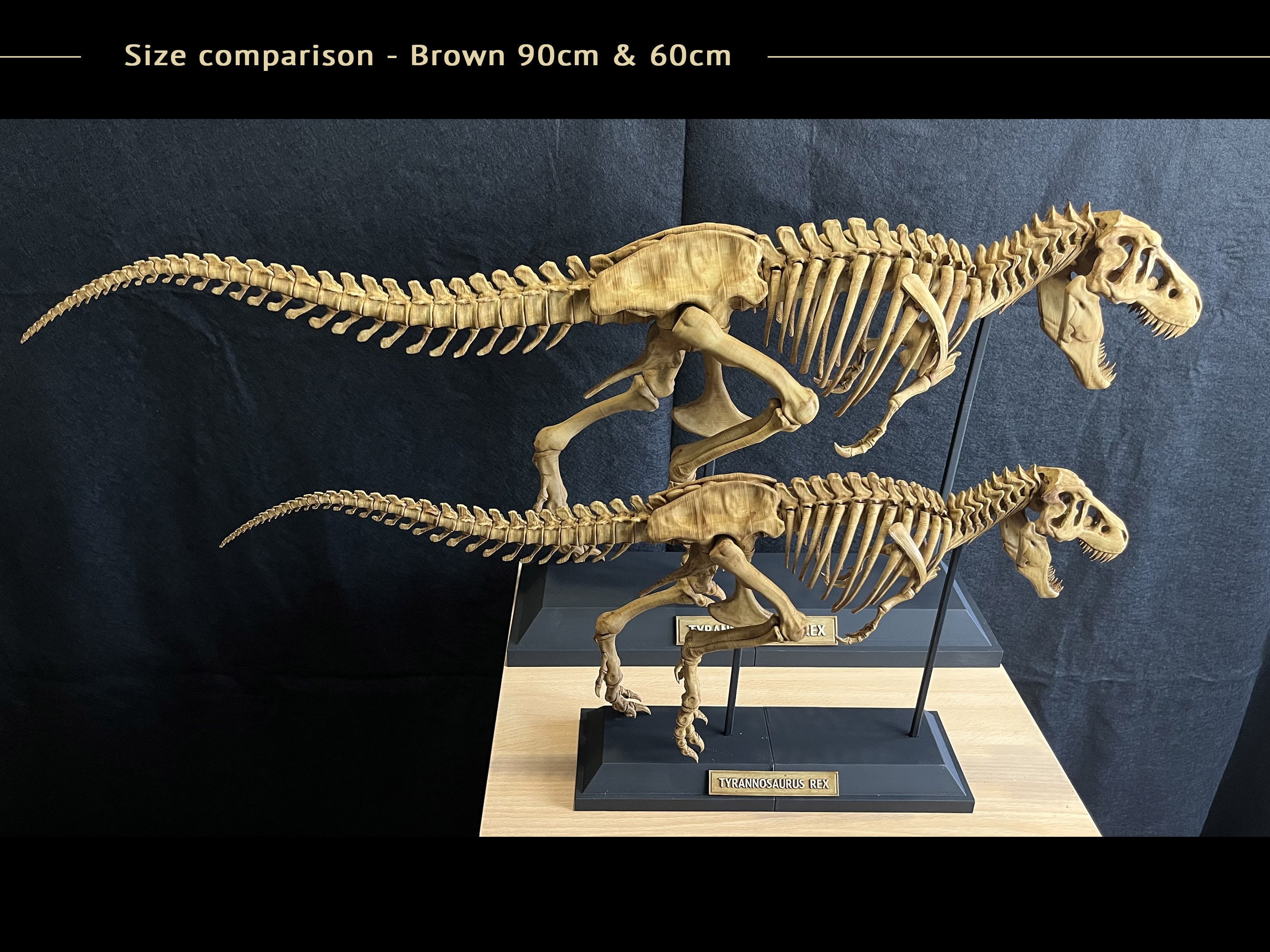 Lunarable Jurassic Fitted Sheet ＆ Pillow Sham Set, Skeleton Tyrannosaurus  Rex Dinosaur Silhouette Prehistoric Monster Animal Print, Decorativ並行輸入 