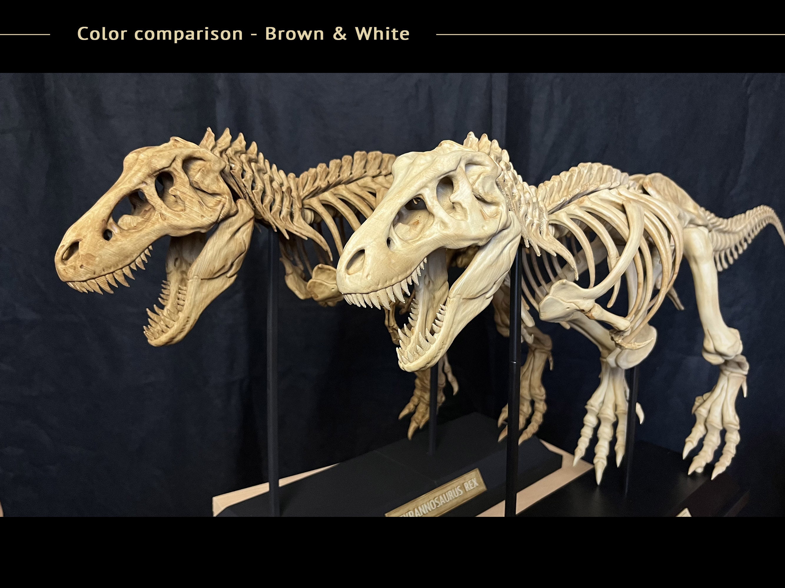 Lunarable Jurassic Fitted Sheet ＆ Pillow Sham Set, Skeleton Tyrannosaurus  Rex Dinosaur Silhouette Prehistoric Monster Animal Print, Decorativ並行輸入 