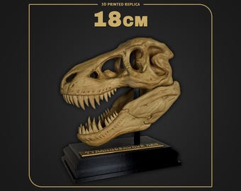 Tyrannosaurus Rex Skull | Dino Skull Replica | Scale 1:9 - 18cm | Hand Painted 3D Printed Fossil | Museum Collectible