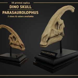 Dino Skull - Parasaurolophus - 3D print replica Hand Painted - 24cm or 15cm height - White or Brown