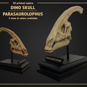Dino-Schädel – Parasaurolophus – 3D-Druck-Replik, handbemalt – 24 cm oder 15 cm Höhe – Weiß oder Braun
