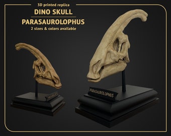 Dino Skull - Parasaurolophus - 3D print replica Hand Painted - 24cm or 15cm height - White or Brown