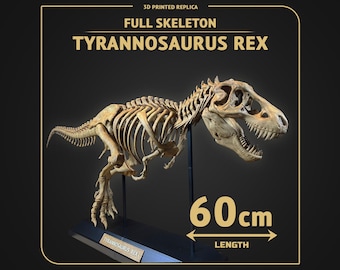 Tyrannosaurus Rex Skeleton 60cm length - 3D print replica Hand-painted - 2 colors available