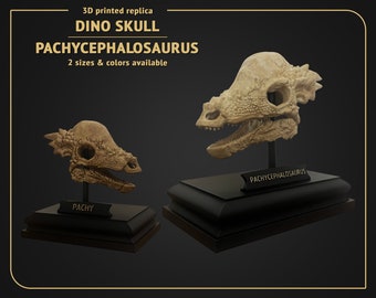 Dino Skull - Pachycephalosaurus - 3D print replica Hand Painted - 17 cm or 10 cm height, White or Brown