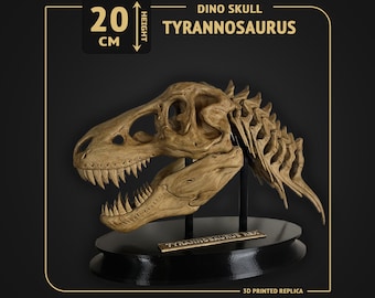 Tyrannosaurus Rex with Neck Dino Skull - scale 1:9 - 25cm length - 3D print replica Hand-painted - 2 colors available