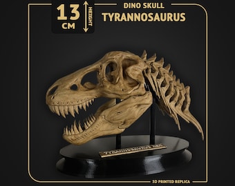 Tyrannosaurus Rex with Neck Dino Skull - scale 1:14 - 16cm length - 3D print replica Hand-painted - 2 colors available