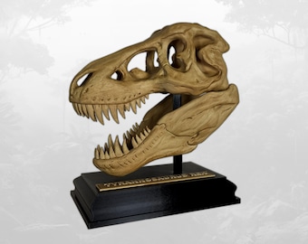 May include: A tan-colored Tyrannosaurus rex skull replica mounted on a black vertical support and a rectangular black base. A gold-colored plaque with the text TYRANNOSAURUS REX is attached to the front of the base, featuring detailed bone textures.