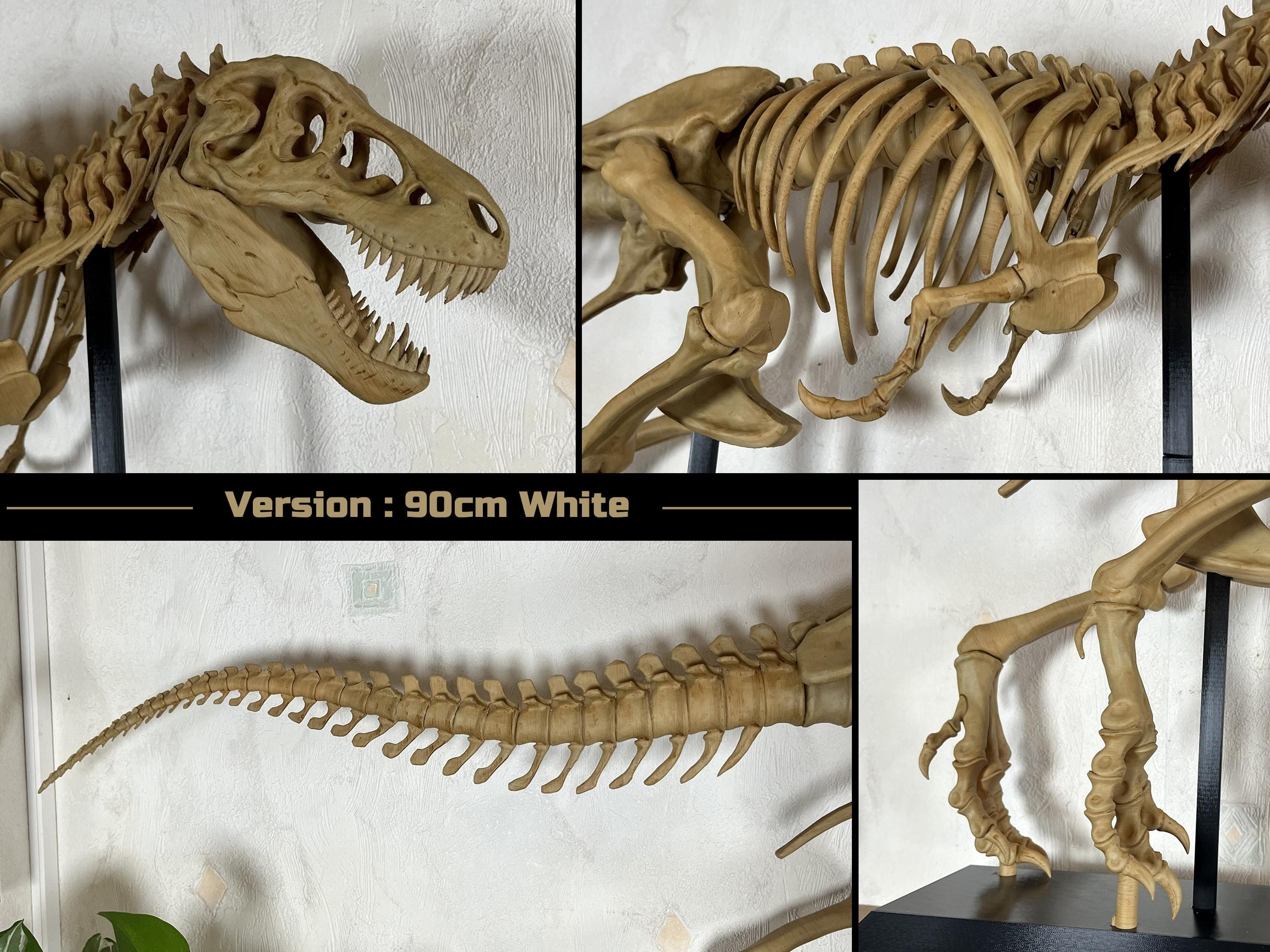 Tyrannosaurus Rex Skeleton 90cm Length - 3D Print Replica Hand