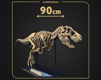 Tyrannosaurus Rex Skeleton 90cm | Dinosaur Fossil Replica | 3D Printed Hand Painted | Museum Display | T-Rex Collectible