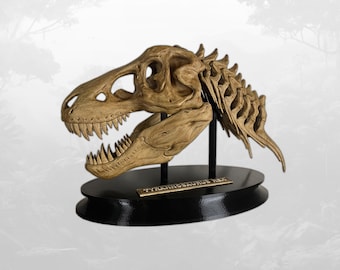 May include: A tan-colored Tyrannosaurus Rex skull model featuring detailed bone textures, sharp teeth, and an open jaw. The skull is mounted on two black vertical supports attached to an oval black base with a gold plaque reading TYRANNOSAURUS REX.