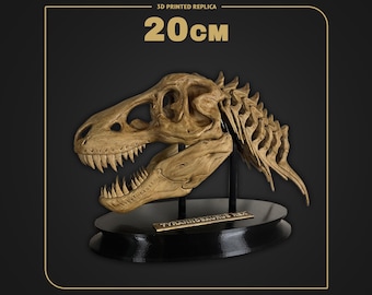 Tyrannosaurus Rex Skull with Neck | Dino Skull Replica | Scale 1:9 - 20cm | Hand Painted 3D Printed Fossil | Museum Collectible