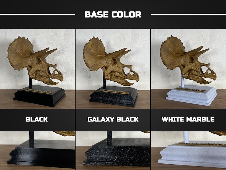 Puede incluir: R&eacute;plica de cr&aacute;neo de triceratops en tres opciones de color base: negro, negro galaxia y m&aacute;rmol blanco. El cr&aacute;neo es de color marr&oacute;n claro y est&aacute; montado sobre una base negra, negro galaxia o m&aacute;rmol blanco con una peque&ntilde;a placa.