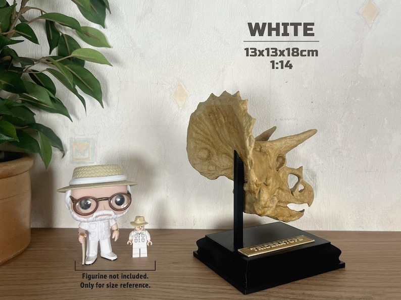 Puede incluir: R&eacute;plica detallada de un cr&aacute;neo de Triceratops, montada sobre un soporte negro. El cr&aacute;neo es de color beige, con textura y detalles visibles. El soporte tiene una placa dorada. Dimensiones: 13x13x18cm.