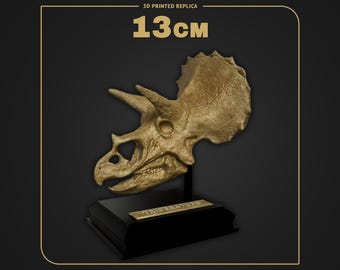 May include: A 3D printed replica of a Triceratops skull measuring 13cm in height. The beige, textured fossil model is mounted on a black rectangular base with a gold-colored plaque featuring the text TRICERATOPS.