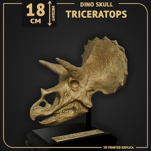 Puede incluir: R&eacute;plica impresa en 3D de un cr&aacute;neo de dinosaurio Triceratops, de 18 cm de altura, en color beige. El cr&aacute;neo presenta tres cuernos y un volante &oacute;seo. La base es negra con una placa dorada "TRICERATOPS".