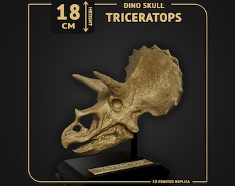 Triceratops Dino Skull - scale 1:14 - 18cm height - 3D print replica Hand-painted - 2 colors available