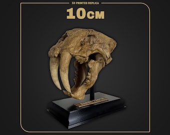 Smilodon Skull | Sabertooth Dino Skull Replica | Scale 1:4 - 10cm | Hand Painted 3D Printed Fossil | Museum Collectible