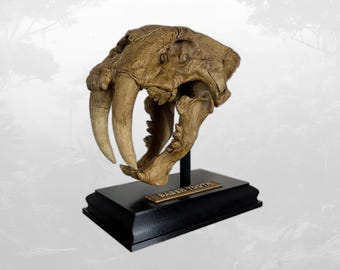 May include: A tan-colored saber-toothed cat skull replica featuring prominent elongated canine teeth and a textured bone-like surface. The skull is mounted on a black vertical post attached to a rectangular black base with a gold plaque reading SABER TOOTH.