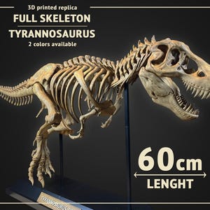 Tyrannosaurus-Skelett, 60 cm lang – 3D-Druck-Replik, handbemalt – 2 Farben erhältlich