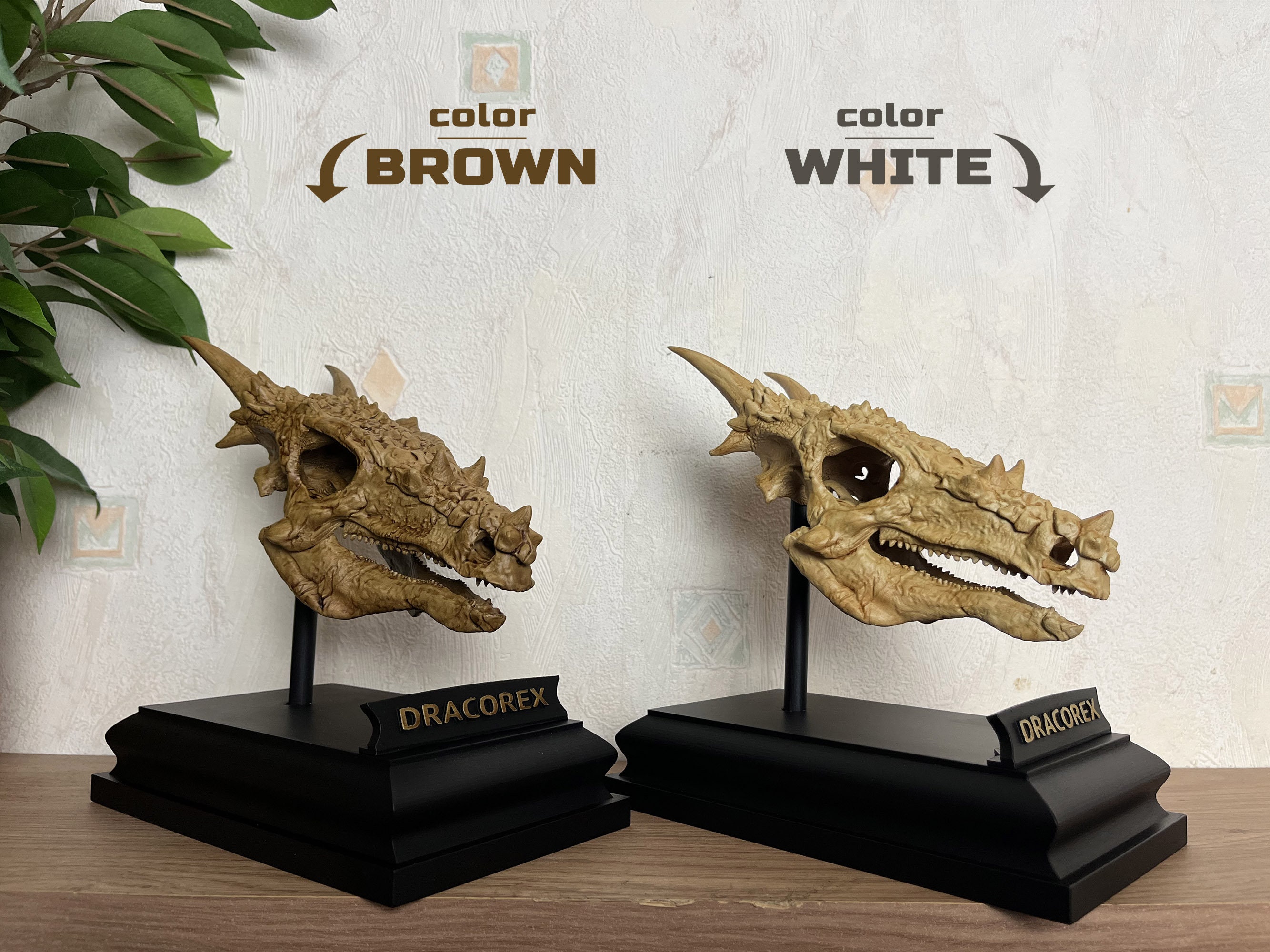 Dracorex Hogwartsia Skull dracorex-hogwartsia-skull