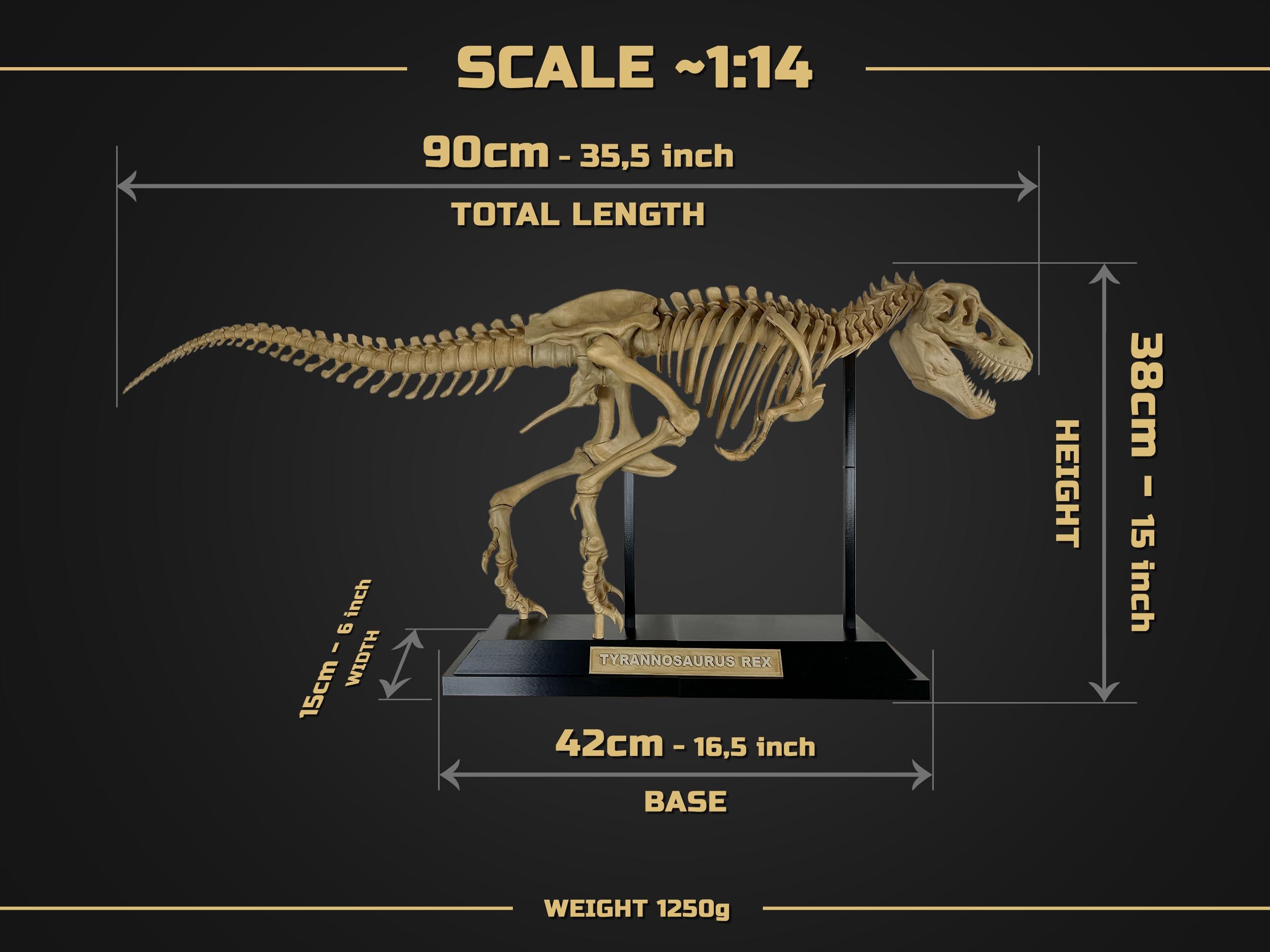 Tyrannosaurus Rex Skeleton 90cm Length - 3D Print Replica Hand