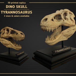 Dino Skull - Tyrannosaurus - 3D print replica Hand Painted - 22cm or 13cm height, White or Brown