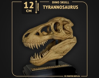 Tyrannosaurus Rex Dino Skull - scale 1:14 - 10cm length - 3D print replica Hand-painted - 2 colors available