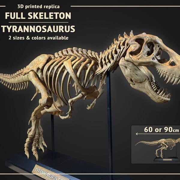 Tyrannosaurus Skeleton 60 or 90cm long - 3D print replica Hand Painted - 2 colors available