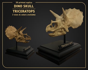 Dino Skull - Tricératops - 3D print replica Hand Painted - 21cm or 12cm height - White or Brown