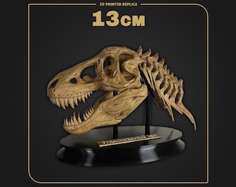 Tyrannosaurus Rex Skull with Neck | Dino Skull Replica | Scale 1:14 - 13cm | Hand Painted 3D Printed Fossil | Museum Collectible