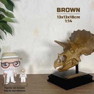 Puede incluir: R&eacute;plica de cr&aacute;neo de Triceratops marr&oacute;n, 13x13x18cm, sobre un soporte negro. El cr&aacute;neo tiene tres cuernos y un volante. El texto "TRICERATOPS" est&aacute; en una placa dorada. Una figura Funko Pop y Lego est&aacute;n al lado para referencia de tama&ntilde;o.