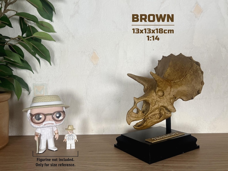 Puede incluir: R&eacute;plica de cr&aacute;neo de Triceratops marr&oacute;n, 13x13x18cm, sobre un soporte negro. El cr&aacute;neo tiene tres cuernos y un volante. El texto "TRICERATOPS" est&aacute; en una placa dorada. Una figura Funko Pop y Lego est&aacute;n al lado para referencia de tama&ntilde;o.