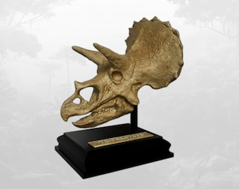 May include: A gold-colored triceratops skull replica mounted on a black rectangular base. The skull features three horns and a large bony frill. A small gold plaque on the front of the base displays the text TRICERATOPS in embossed capital letters.