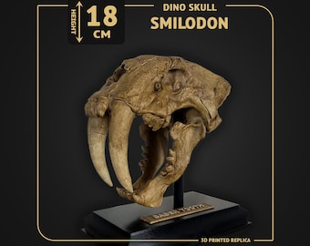 Smilodon Saber Tooth - Dino Skull - scale 1:2 - 18cm height - 3D print replica Hand-painted - 2 colors available
