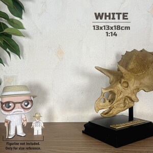 Puede incluir: R&eacute;plica detallada de un cr&aacute;neo de Triceratops de color beige, montada sobre una base negra. El cr&aacute;neo mide 13x13x18cm, a escala 1:14. La palabra "WHITE" se muestra encima del cr&aacute;neo.