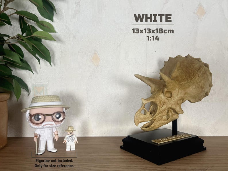 Puede incluir: R&eacute;plica detallada de un cr&aacute;neo de Triceratops de color beige, montada sobre una base negra. El cr&aacute;neo mide 13x13x18cm, a escala 1:14. La palabra "WHITE" se muestra encima del cr&aacute;neo.