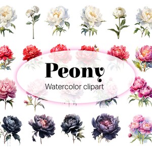 Peonies flowers, Floral bouquets clipart, Watercolor Flowers Clipart, Printable designs, Digital clipart, PNG