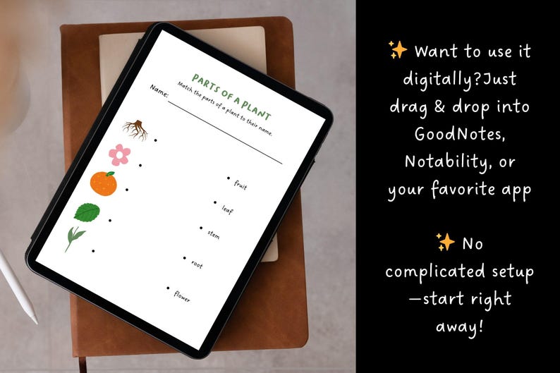 Printable Leaf Hunt for Kids | Nature Scavenger Hunt | Preschool Leaf ...
