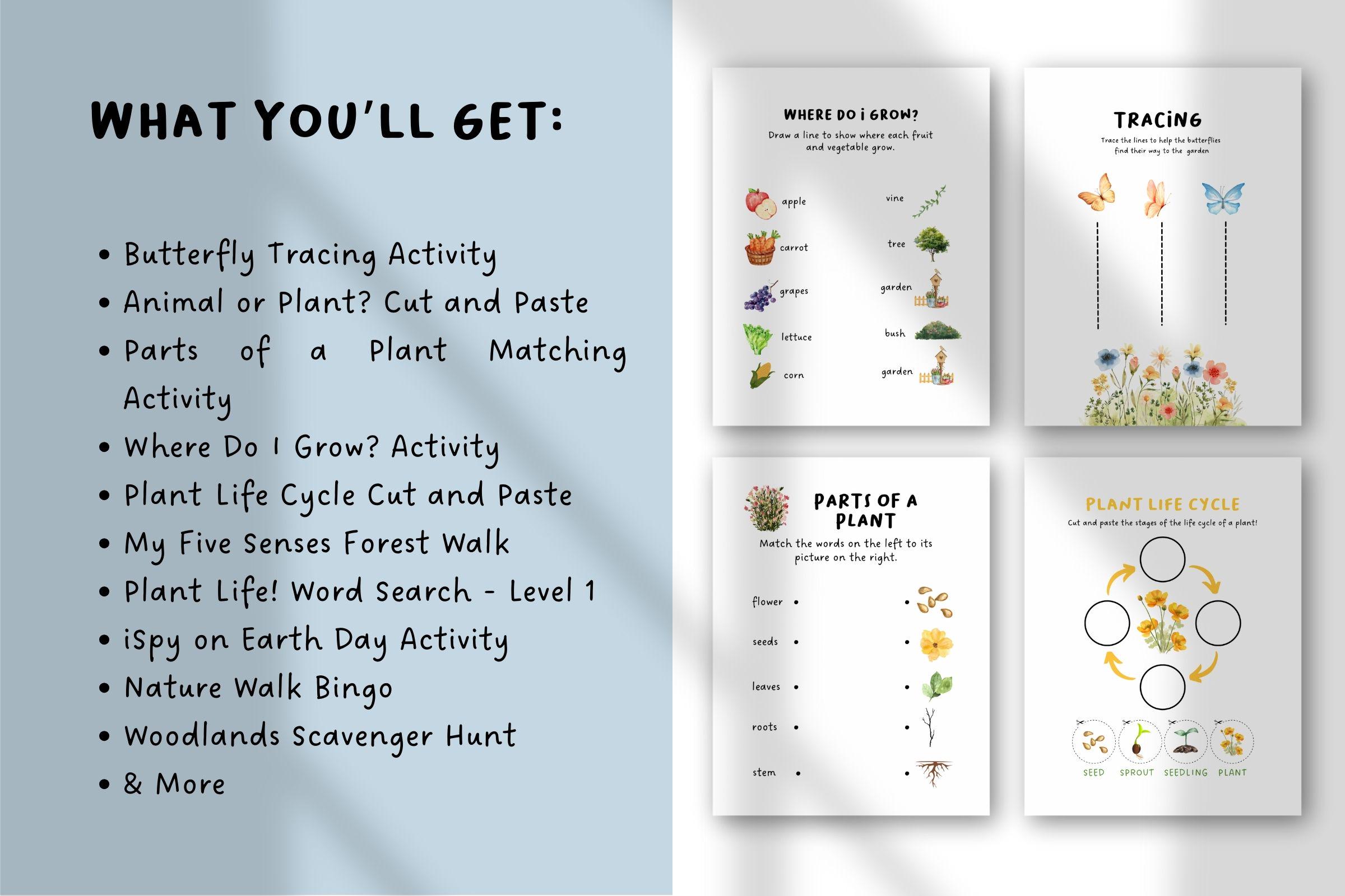 Printable Nature Journal Homeschool Learning Materials Charlotte Mason ...