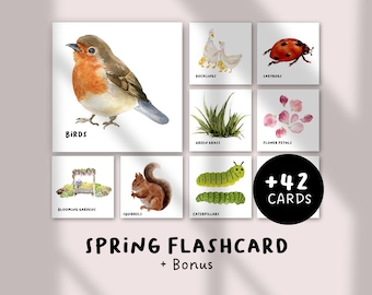 Spring Nature Flashcards – Printable Morning Basket Cards, Homeschool Science Resource, Seasonal Learning PDF for Kids