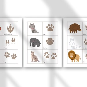 May include: Three illustrated educational posters featuring animals and their footprints. Animals include a Tyrannosaurus, moose, dog, cat, elephant, lynx, boar, Arctic fox, and lion. Each animal is paired with its name and footprint illustration.