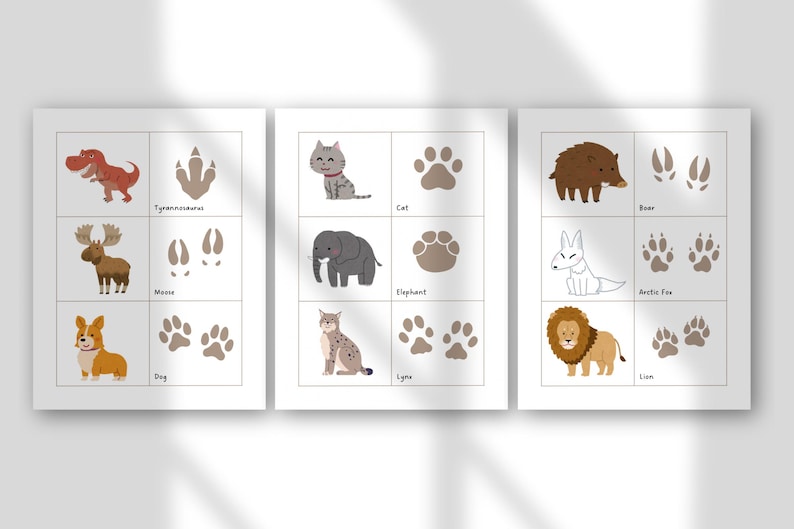 May include: Three illustrated educational posters featuring animals and their footprints. Animals include a Tyrannosaurus, moose, dog, cat, elephant, lynx, boar, Arctic fox, and lion. Each animal is paired with its name and footprint illustration.