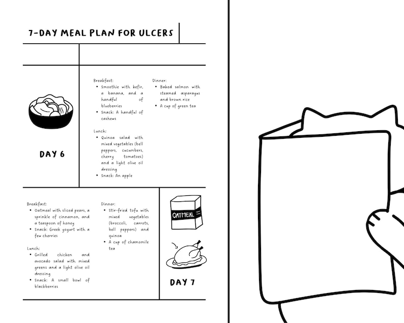 PDF 7day Meal Plan for Ulcers Editable Template! Etsy