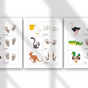 May include: Three educational posters with animal illustrations and their corresponding footprints. Animals include a monkey, raccoon, porcupine, pelican, lemur, kangaroo, ostrich, crocodile, and duck. Each animal is paired with its name.